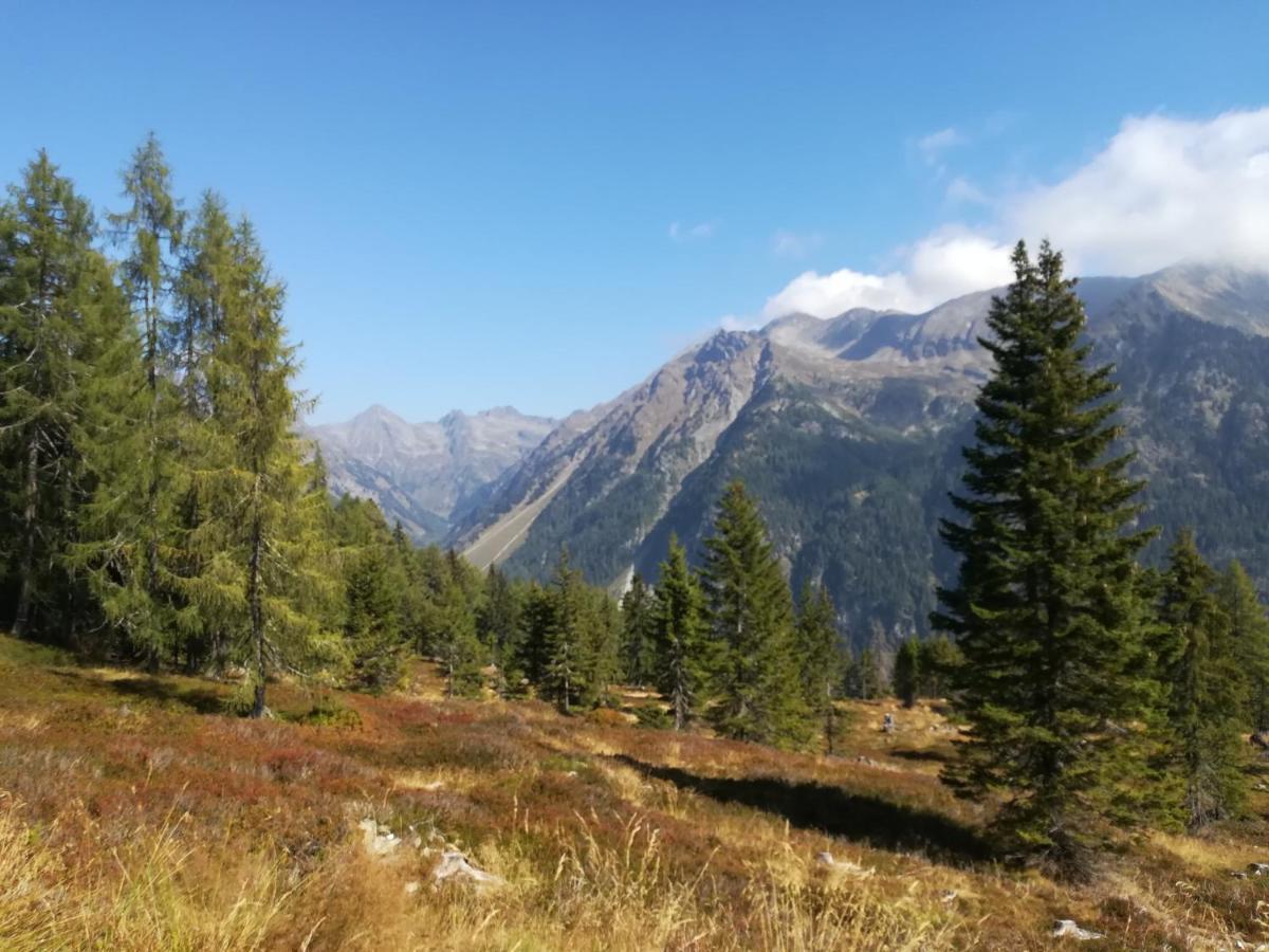 Apartmán Fanningerwirt Holzer Mariapfarr Exteriér fotografie
